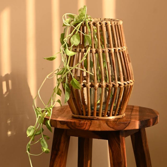 Multipurpose Bamboo Planter-10"